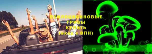СК Волоколамск