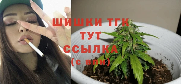 СК Волоколамск