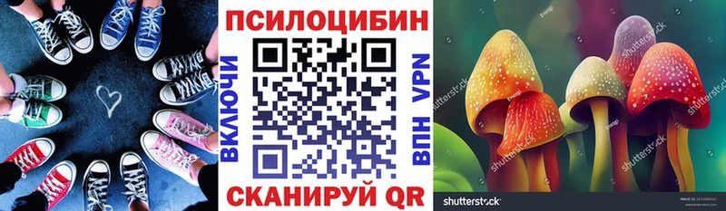 сколько стоит  MEGA ССЫЛКА  Псилоцибиновые грибы Psilocybe  Железногорск 