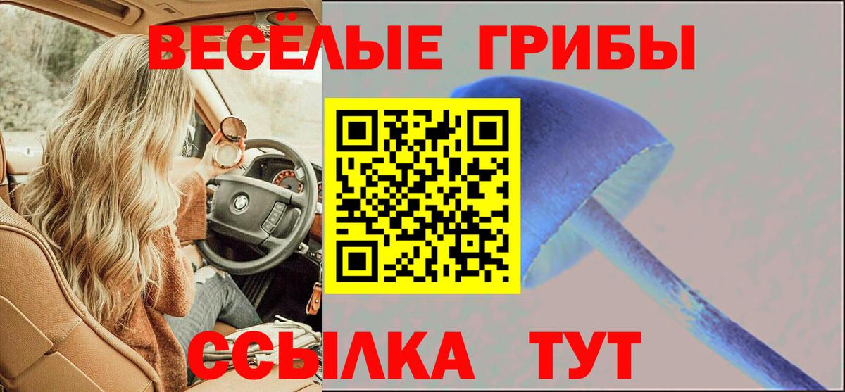 Псилоцибиновые грибы мицелий Железногорск
